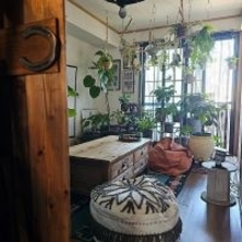 【今週の〇〇】テーマは「植物のある暮らし」！最新の投稿写真をピックアップ