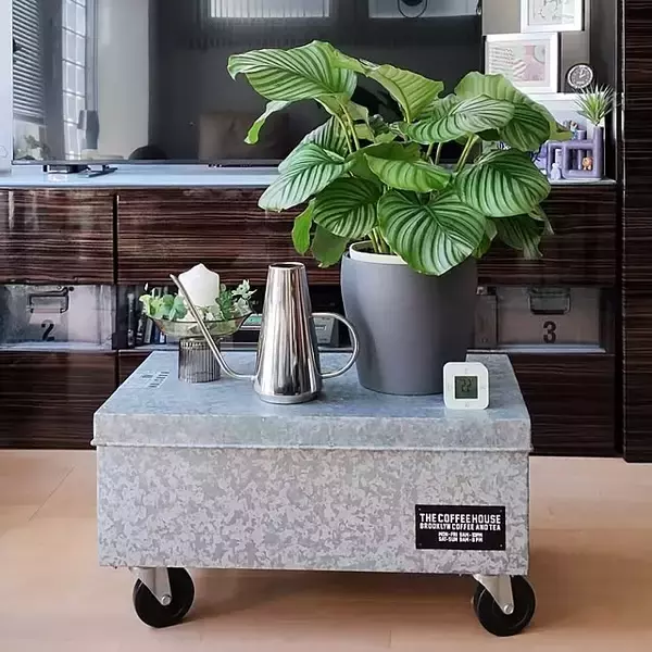 「【今週の〇〇】テーマは「植物のある暮らし」！最新の投稿写真をピックアップ」の画像