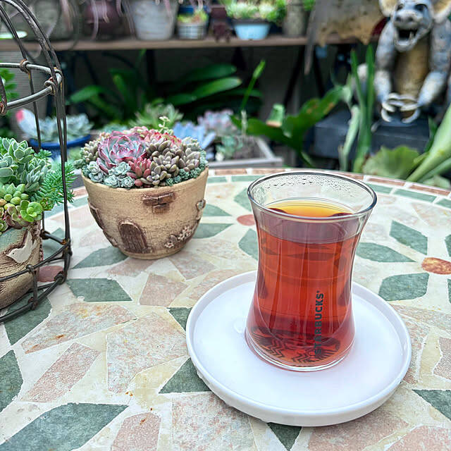 【今週の〇〇】テーマは「植物のある暮らし」！最新の投稿写真をピックアップ