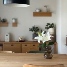 【今週の〇〇】テーマは「植物のある暮らし」！最新の投稿写真をピックアップ