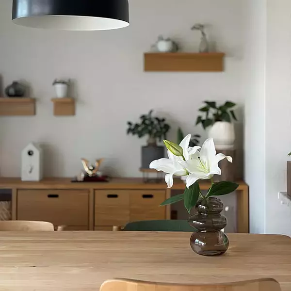 「【今週の〇〇】テーマは「植物のある暮らし」！最新の投稿写真をピックアップ」の画像