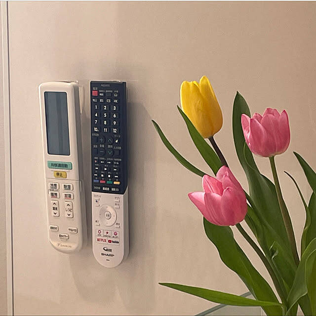 かゆいところに手が届く！100均の収納名品5選。ダイソーやセリアで小物がスッキリ