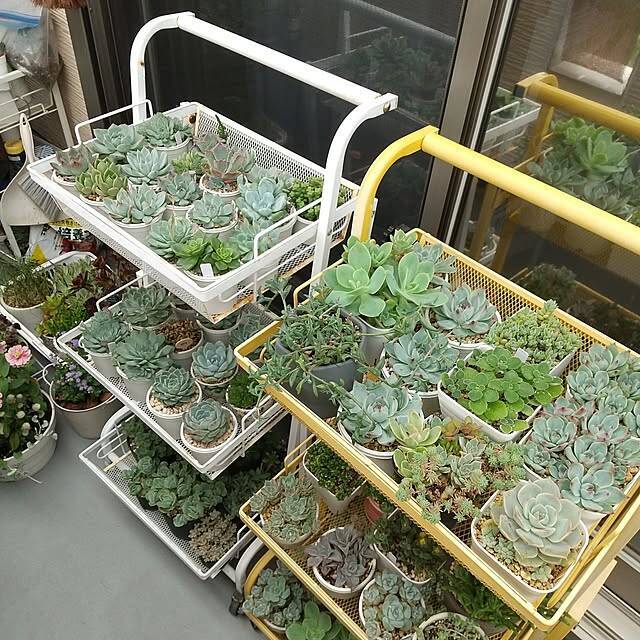 キッチンだけじゃもったいない！家じゅうで使えるキッチンワゴンの便利な活用法