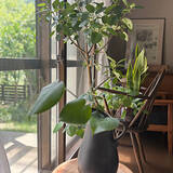 「「ヴィンテージ家具と余白で魅せる、優しく落ち着いた住まい」 by eruさん」の画像10