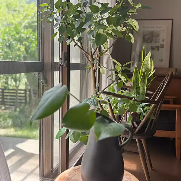 「「ヴィンテージ家具と余白で魅せる、優しく落ち着いた住まい」 by eruさん」の画像