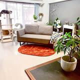 「【今週の〇〇】テーマは「リビング」！最新の投稿写真をピックアップ」の画像4