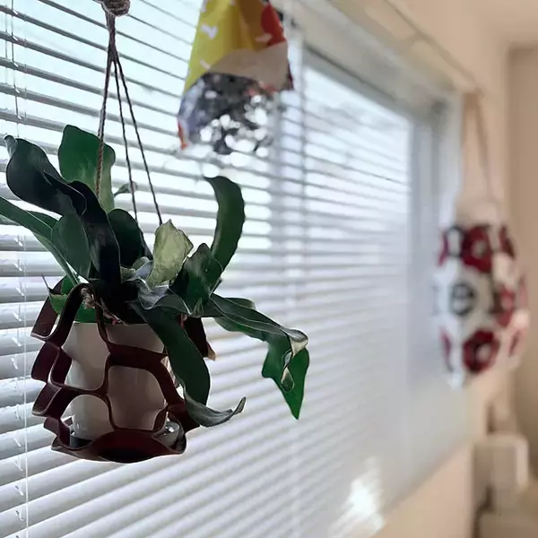 「【今週の〇〇】テーマは「植物のある暮らし」！最新の投稿写真をピックアップ」の画像