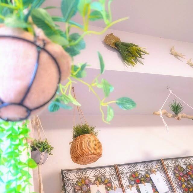【今週の〇〇】テーマは「植物のある暮らし」！最新の投稿写真をピックアップ