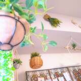 「【今週の〇〇】テーマは「植物のある暮らし」！最新の投稿写真をピックアップ」の画像4