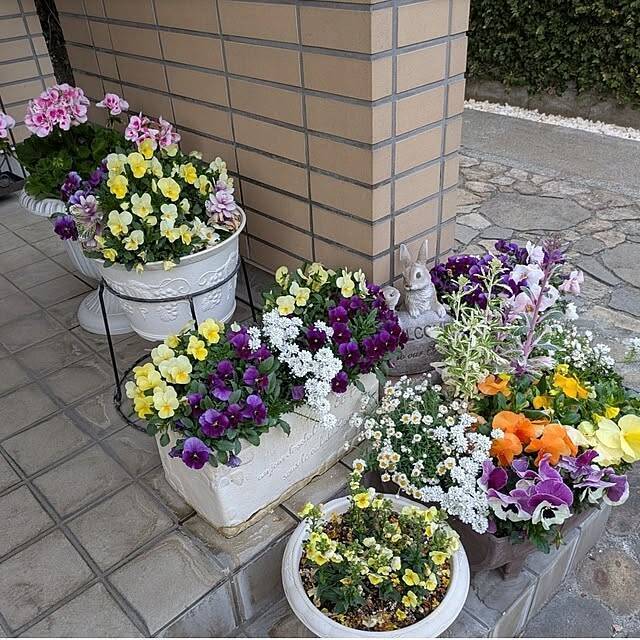 【今週の〇〇】テーマは「植物のある暮らし」！最新の投稿写真をピックアップ