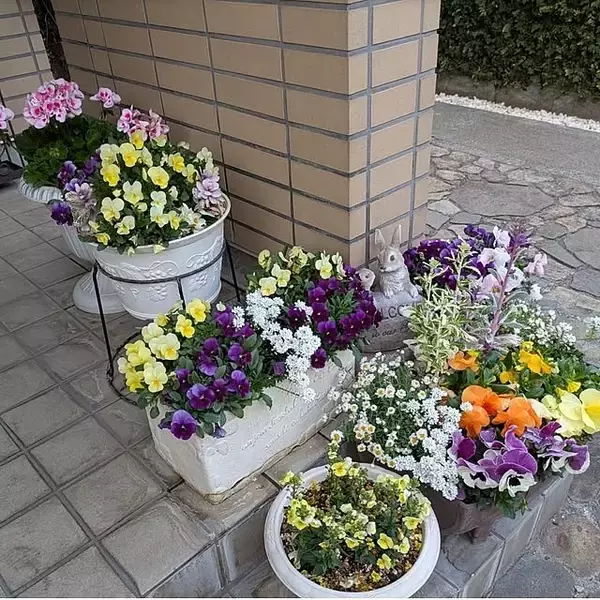 「【今週の〇〇】テーマは「植物のある暮らし」！最新の投稿写真をピックアップ」の画像