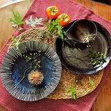 「プチプラだからそろえやすい♪好みに合わせて選べるダイソーの食器類」の画像1