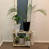 「アイデアしだいで自由自在！自分好みのインテリアがつくれる100均のすのこを活用したDIY実例」の画像3