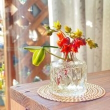 空き瓶が暮らしに馴染む道具に変わる！日常に楽しさを添えるリメイク実例集