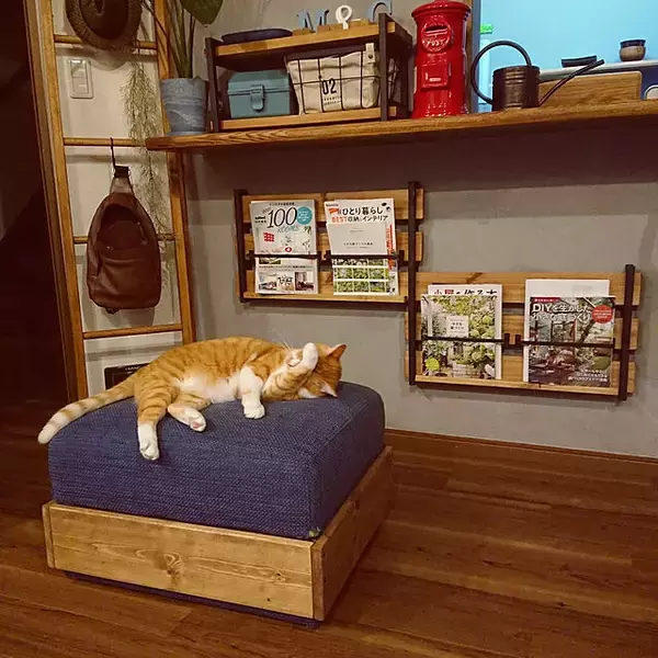 「お気に入りの空間を演出♪マガジンラックのDIYアイデア集」の画像