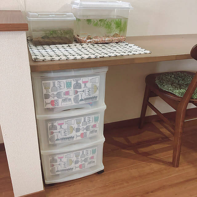 食事以外のシーンでもこんなに使える♪インテリアを彩るペーパーナプキンの活用法