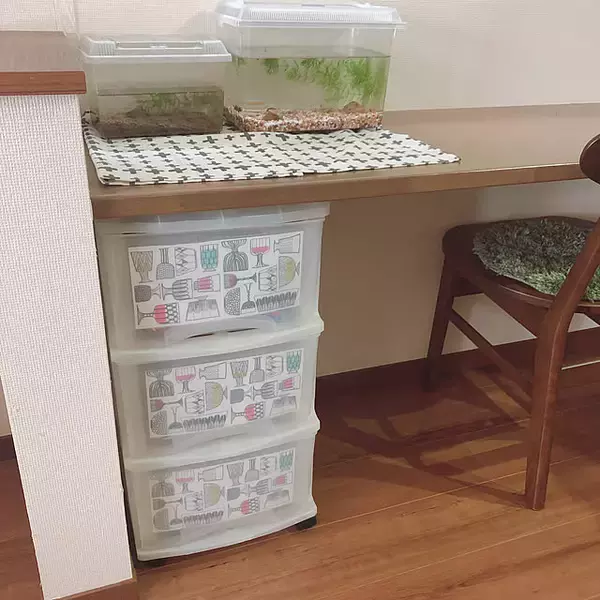 「食事以外のシーンでもこんなに使える♪インテリアを彩るペーパーナプキンの活用法」の画像