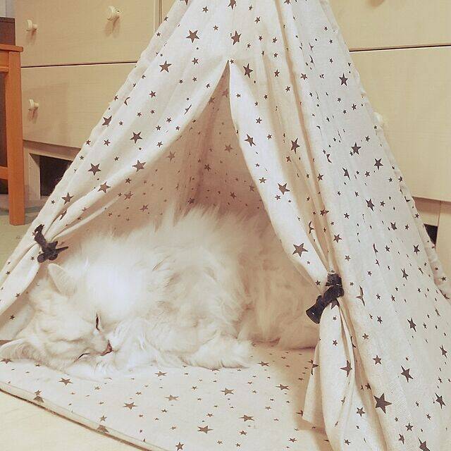 収納もインテリアもおまかせ！リビングで使いたいダイソーアイテム