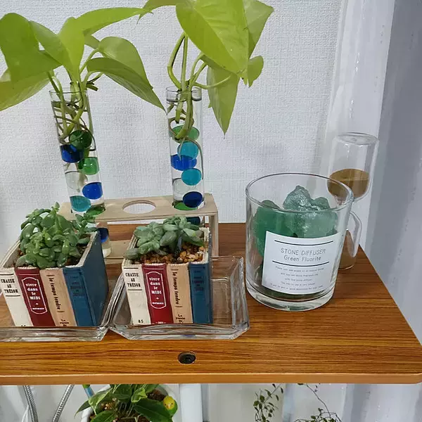 「収納もインテリアもおまかせ！リビングで使いたいダイソーアイテム」の画像