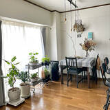 「使い勝手抜群！無印良品の「縦にも横にも連結できるポリプロピレン平台車」」の画像4