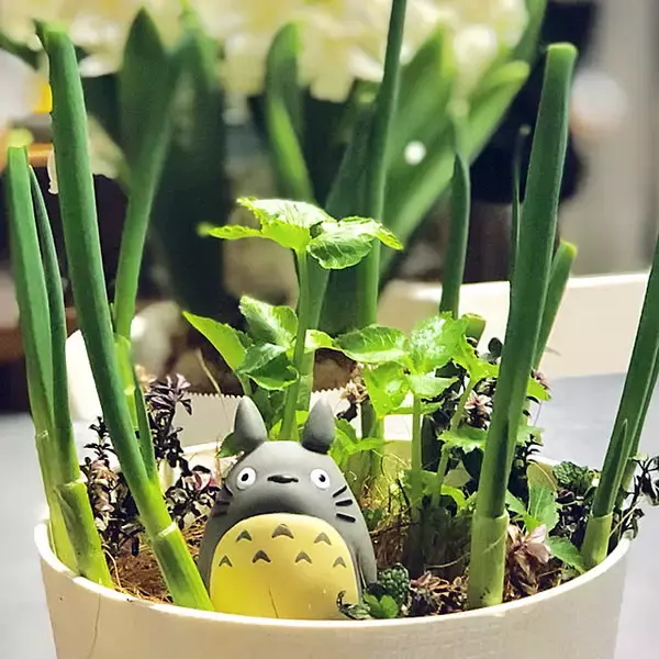 「食材をムダにしない食費節約アイデア5選」の画像