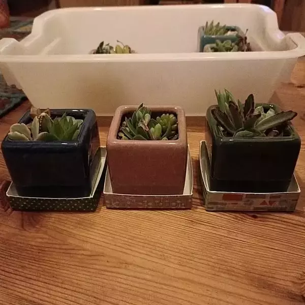 「まだまだこんなに使える☆暮らしに役立つ牛乳パックの再利用方法」の画像