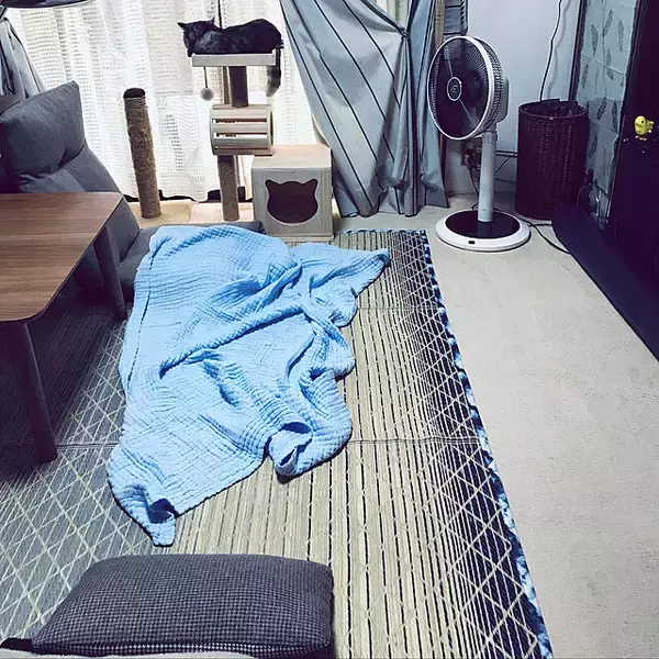 「ぐっすり眠れる♡わたしのお気に入りガーゼケット色・柄別カタログ」の画像
