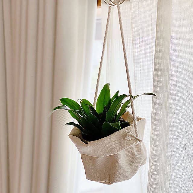 取り入れるだけでセンスアップ！無印良品のインテリアグリーンと関連グッズをご紹介