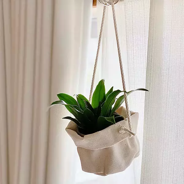 「取り入れるだけでセンスアップ！無印良品のインテリアグリーンと関連グッズをご紹介」の画像