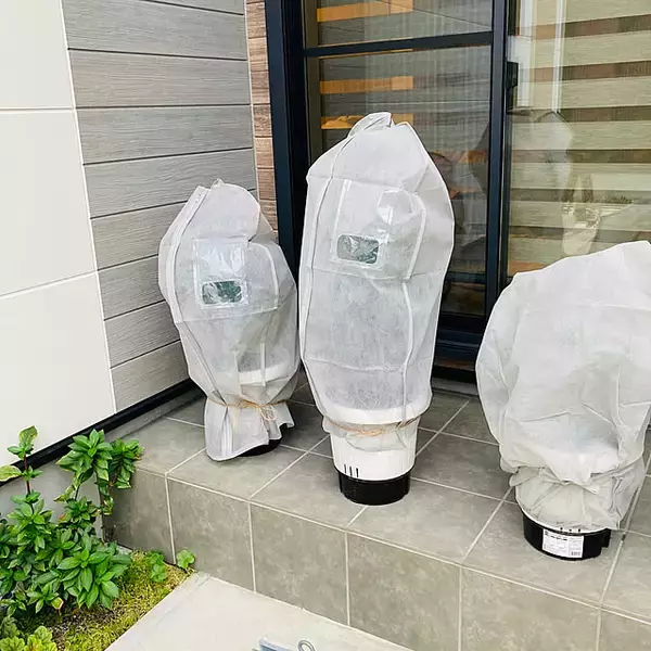 「きっとやってみたくなるアイデアが続々！100均アイテムの意外な活用テクニック6選」の画像