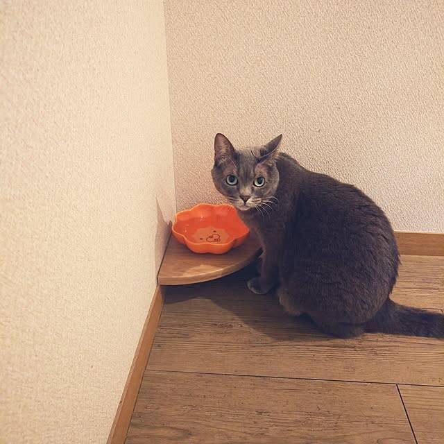 きっとやってみたくなるアイデアが続々！100均アイテムの意外な活用テクニック6選