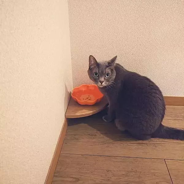 「きっとやってみたくなるアイデアが続々！100均アイテムの意外な活用テクニック6選」の画像