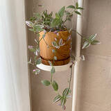 「【みんなが選んだ！】どんな植物も主役級に！Standard Productsの植木鉢4選」の画像3