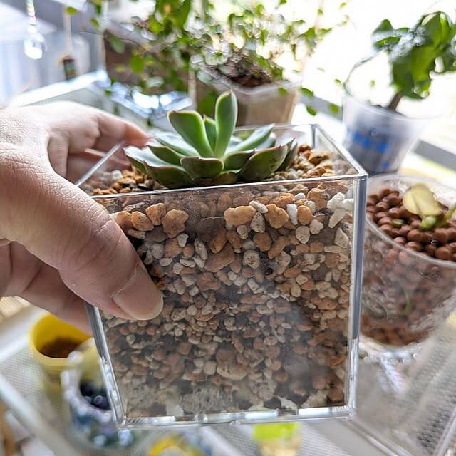 【みんなが選んだ！】どんな植物も主役級に！Standard Productsの植木鉢4選