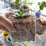 「【みんなが選んだ！】どんな植物も主役級に！Standard Productsの植木鉢4選」の画像4
