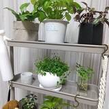 「【みんなが選んだ！】どんな植物も主役級に！Standard Productsの植木鉢4選」の画像5