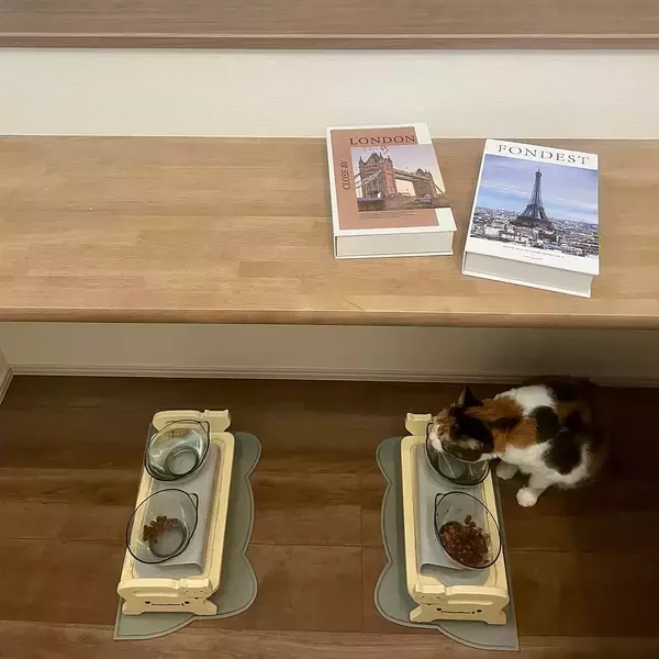 「「毎日使う物は気楽に隠す♪生活感をすっきりオフする収納術」 by Misakiさん」の画像