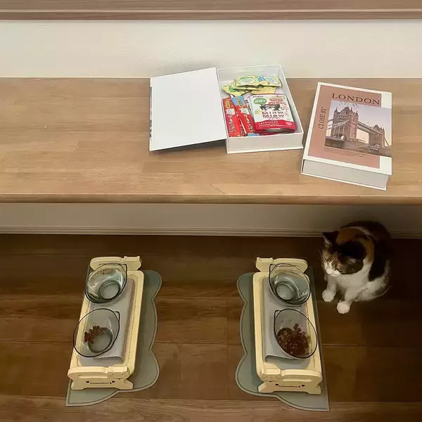 「「毎日使う物は気楽に隠す♪生活感をすっきりオフする収納術」 by Misakiさん」の画像