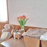 「おうち時間を充実させてくれる♪お菓子からブランケットまで、コストコで見つかるおすすめのアイテム10選」の画像4