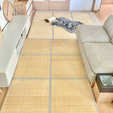 「空間を足元から快適に♪デザインや機能性も幅広いニトリのラグを取り入れた実例6選」の画像5