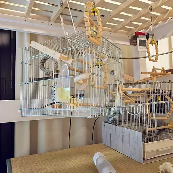 「あれもこれも吊り下げて使いやすく♪S字フックでお家中が快適になるアイデア10選」の画像