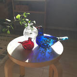 「洗練されたデザインと涼しげな透明感がたまらない♪イッタラのガラスアイテム」の画像2