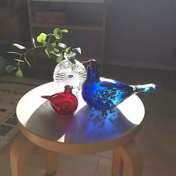 「洗練されたデザインと涼しげな透明感がたまらない♪イッタラのガラスアイテム」の画像