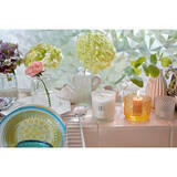 「洗練されたデザインと涼しげな透明感がたまらない♪イッタラのガラスアイテム」の画像3