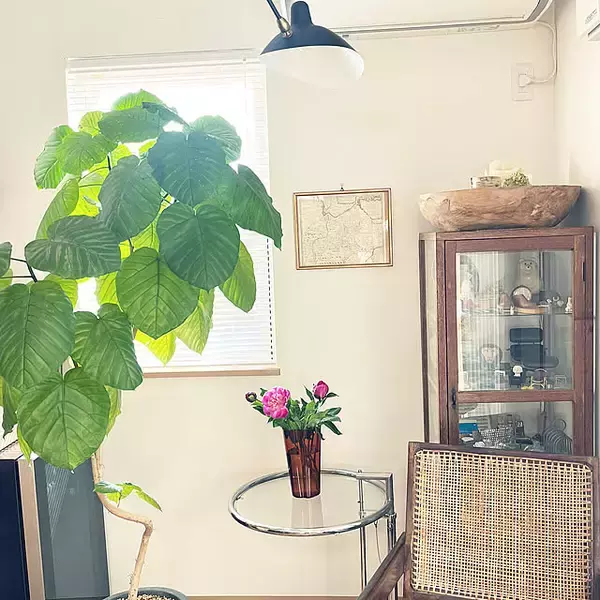 【今週の〇〇】テーマは「植物のある暮らし」！最新の投稿写真をピックアップ