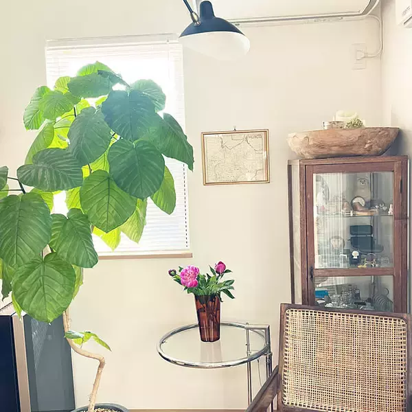 「【今週の〇〇】テーマは「植物のある暮らし」！最新の投稿写真をピックアップ」の画像