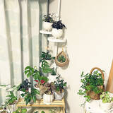 「【今週の〇〇】テーマは「植物のある暮らし」！最新の投稿写真をピックアップ」の画像6