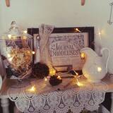 「セリアのLEDケーブルライトで夏の夜を飾る♡」の画像4