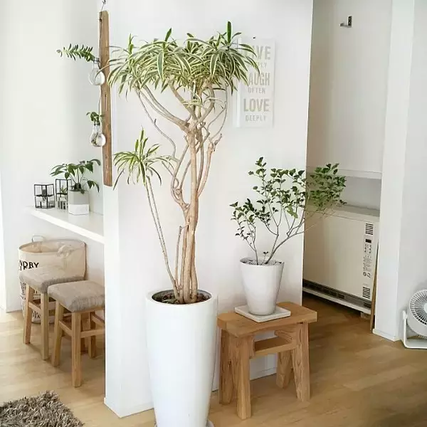 「手軽にイメチェン☆ニトリのアートポスター」の画像