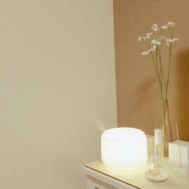 乾燥が気になるときに☆無印良品の加湿器で潤いをプラス